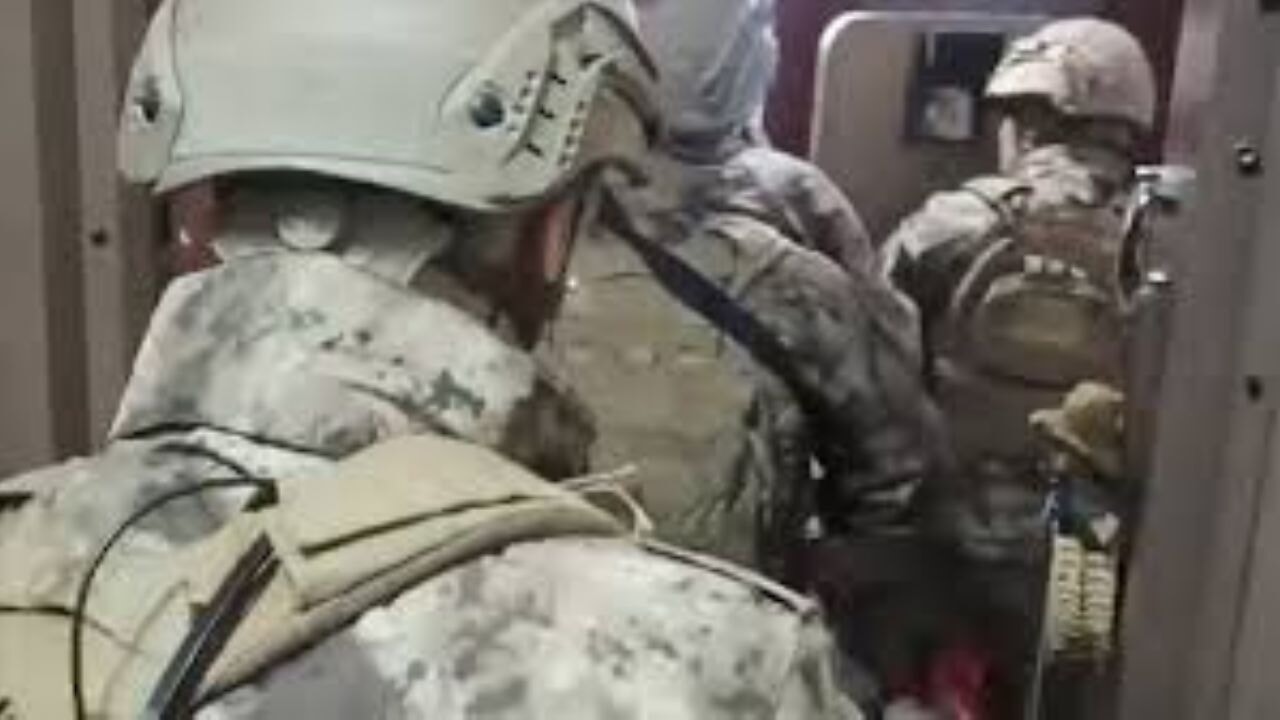 Suç örgütlerine yönelik 'Hücre-15' operasyonlarında 123 şüpheli tutuklandı