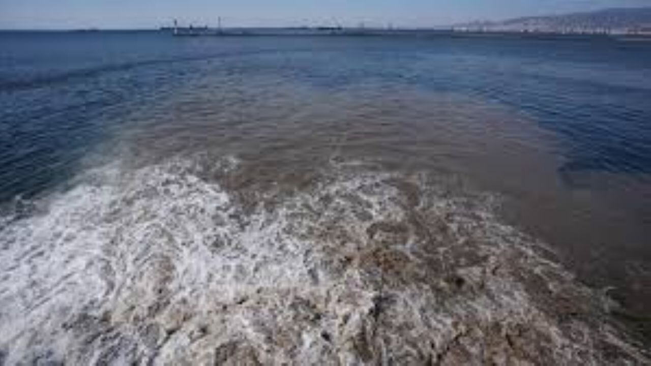 Atık suyun deşarj edildiği İzmir Körfezi'nde suyun rengi değişti