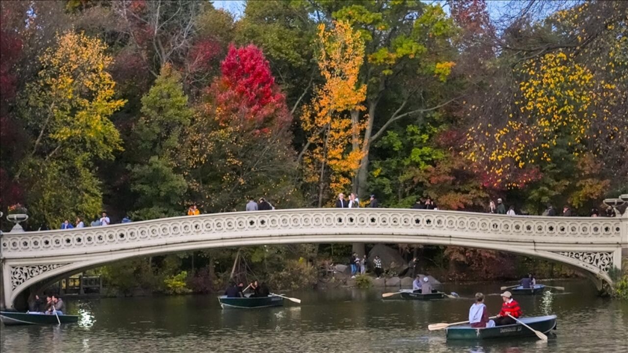 Amerikalılar evlerden doğaya kaçıyor