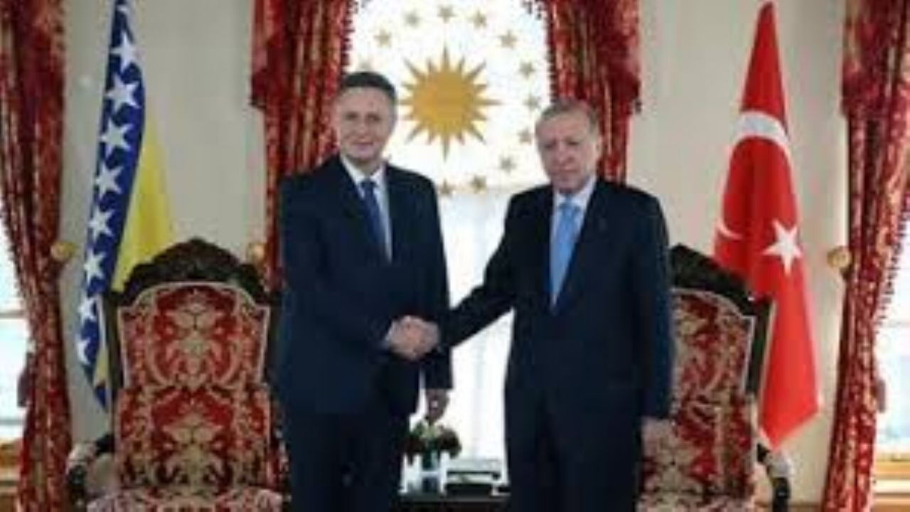 Cumhurbaşkanı Erdoğan, Bosna Hersek Devlet Başkanlığı Konseyi Üyesi Becirovic'i kabul etti