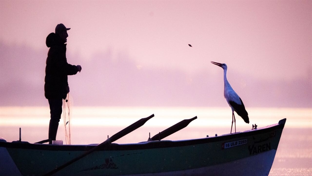 Milyonlar takip etti: Yaren Leylek ile Adem Amca, 14. defa buluştu