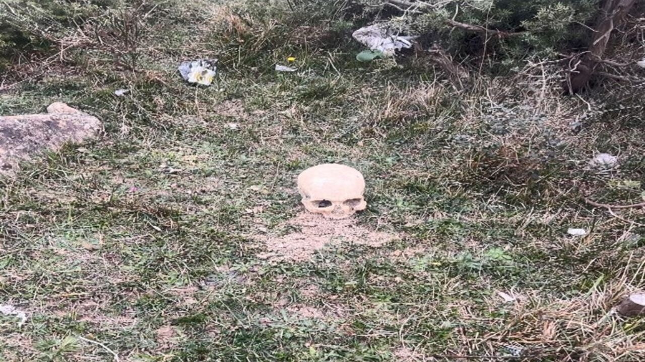 Arnavutköy'de insana ait kafatası bulundu