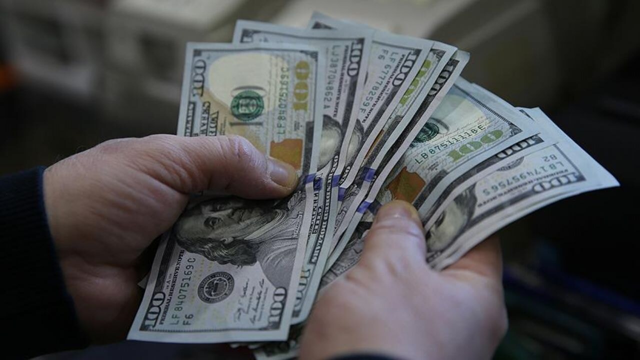 Merkez Bankası'ndan döviz hamlesi