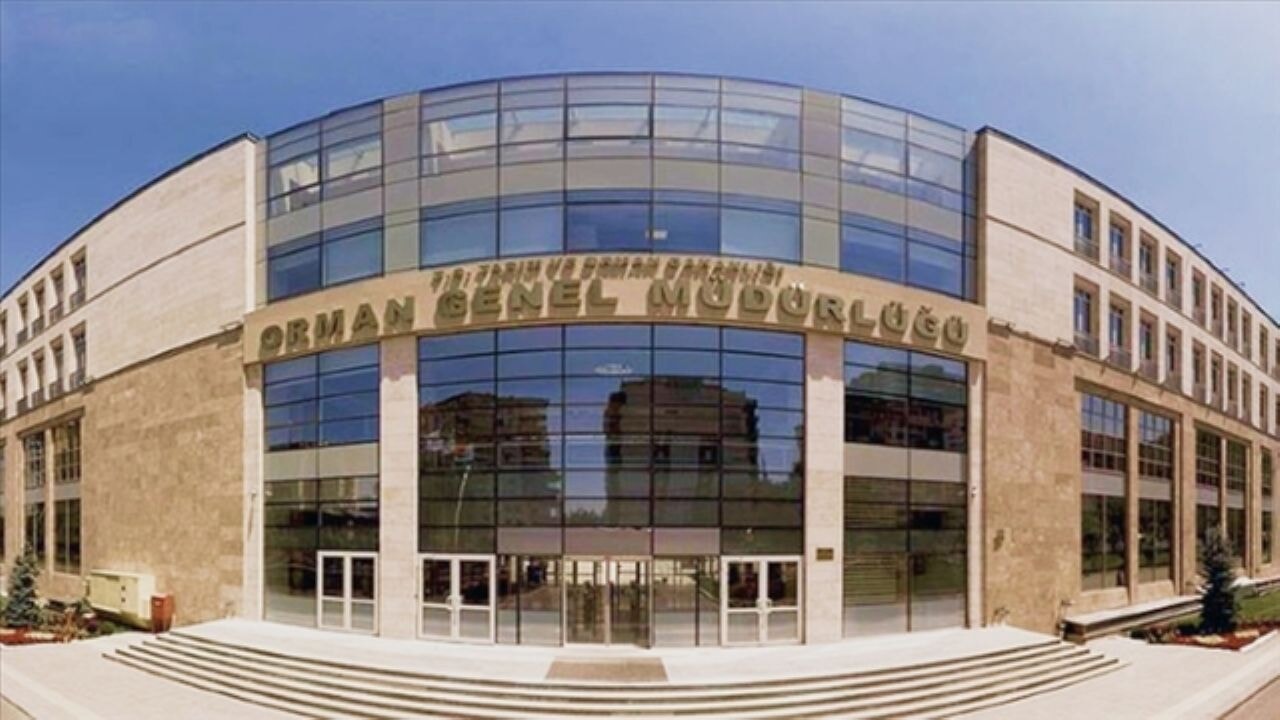 Orman Genel Müdürlüğü (OGM), 3.477 sözleşmeli destek personeli alımı yapacak