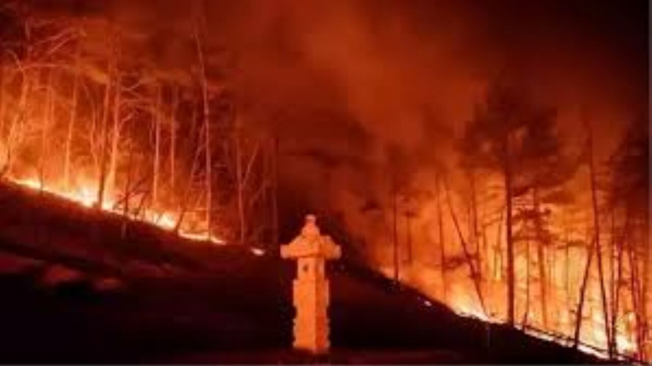 Yangın söndürme helikopteri düştü: Pilot hayatını kaybetti​