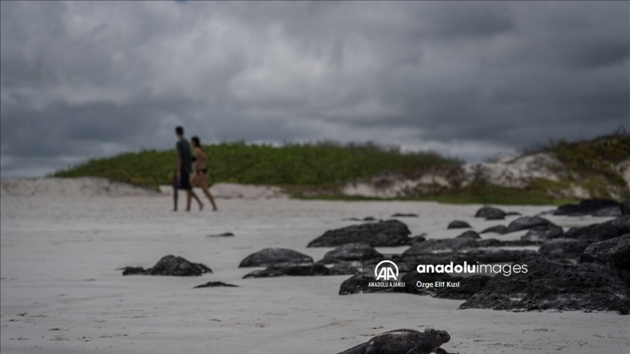 Gizemli ekosistem: Galapagos Adaları'nın keşfedilmemiş yüzü