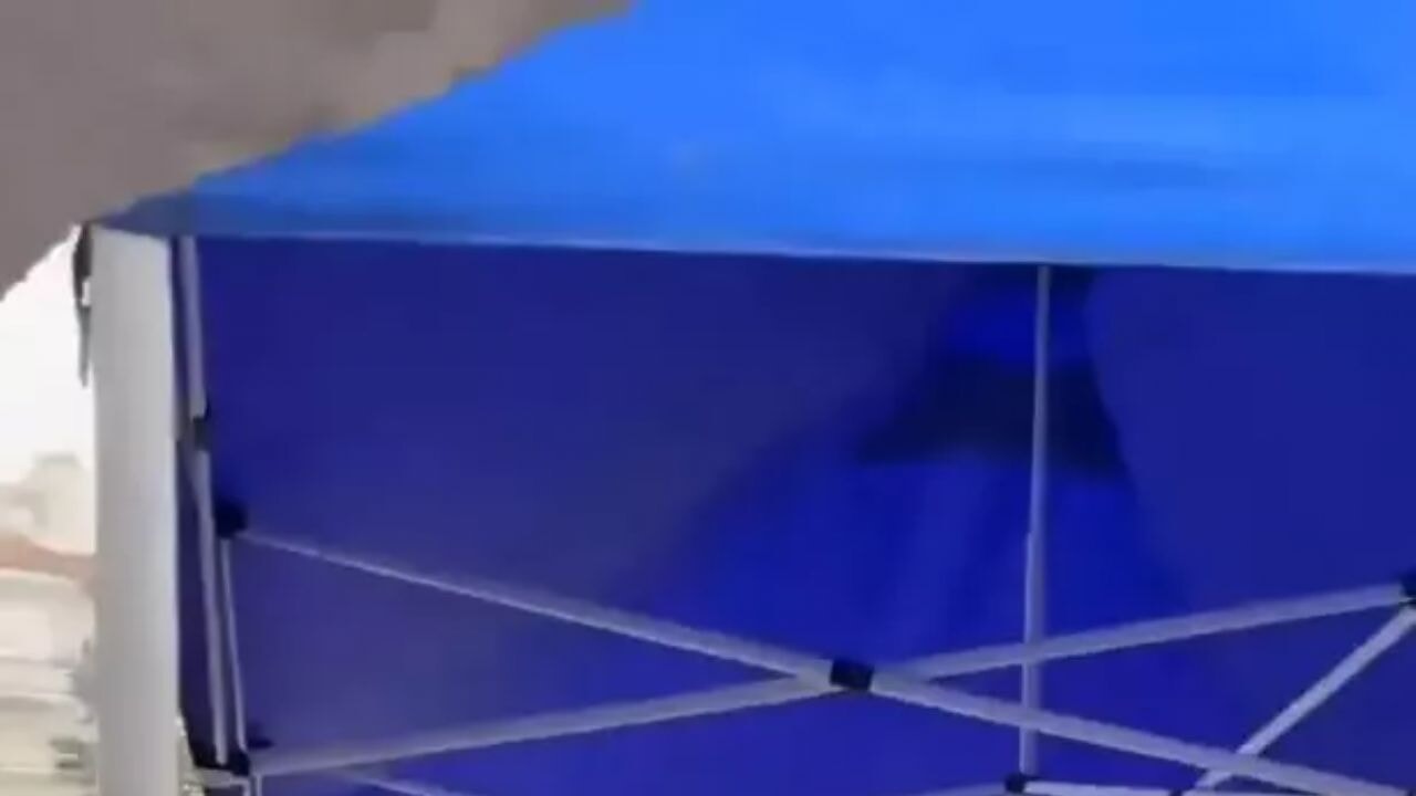 Domatesleri çöpe döken kişiye 17,2 Milyon TL'ye kadar ceza!