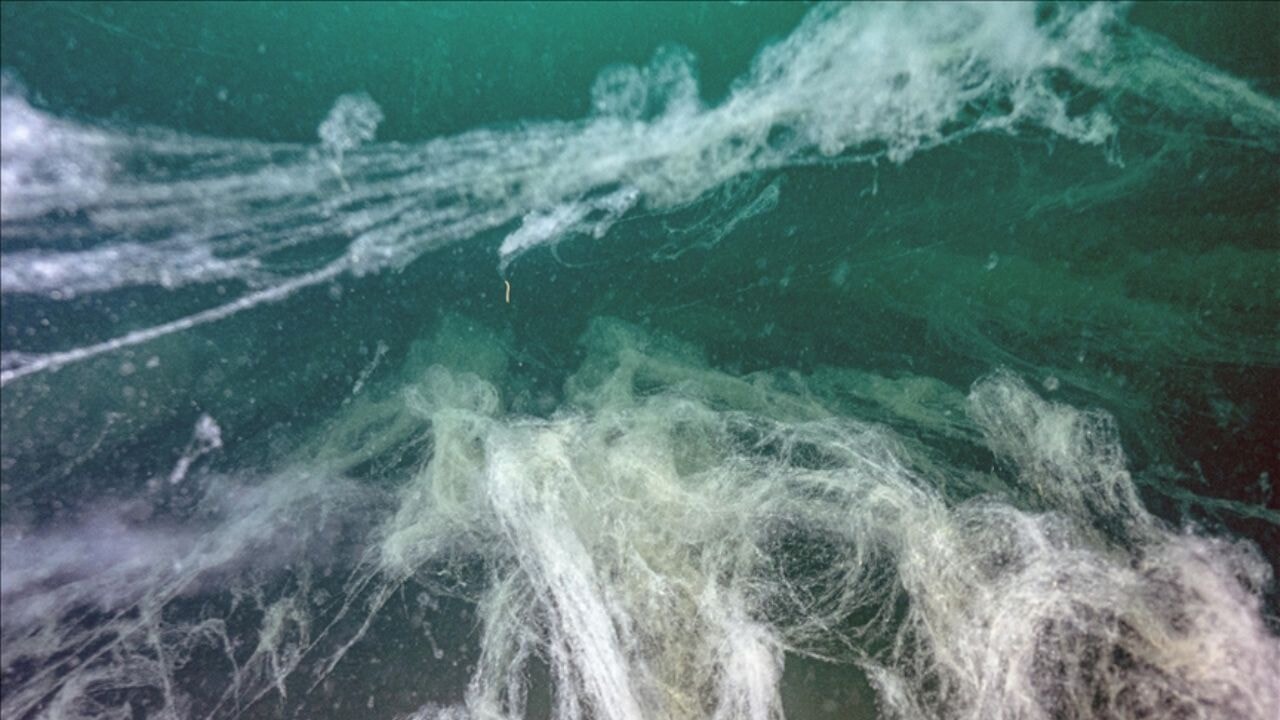 Balıkçılar tedirgin! Müsilaj avcılığı bitirdi!