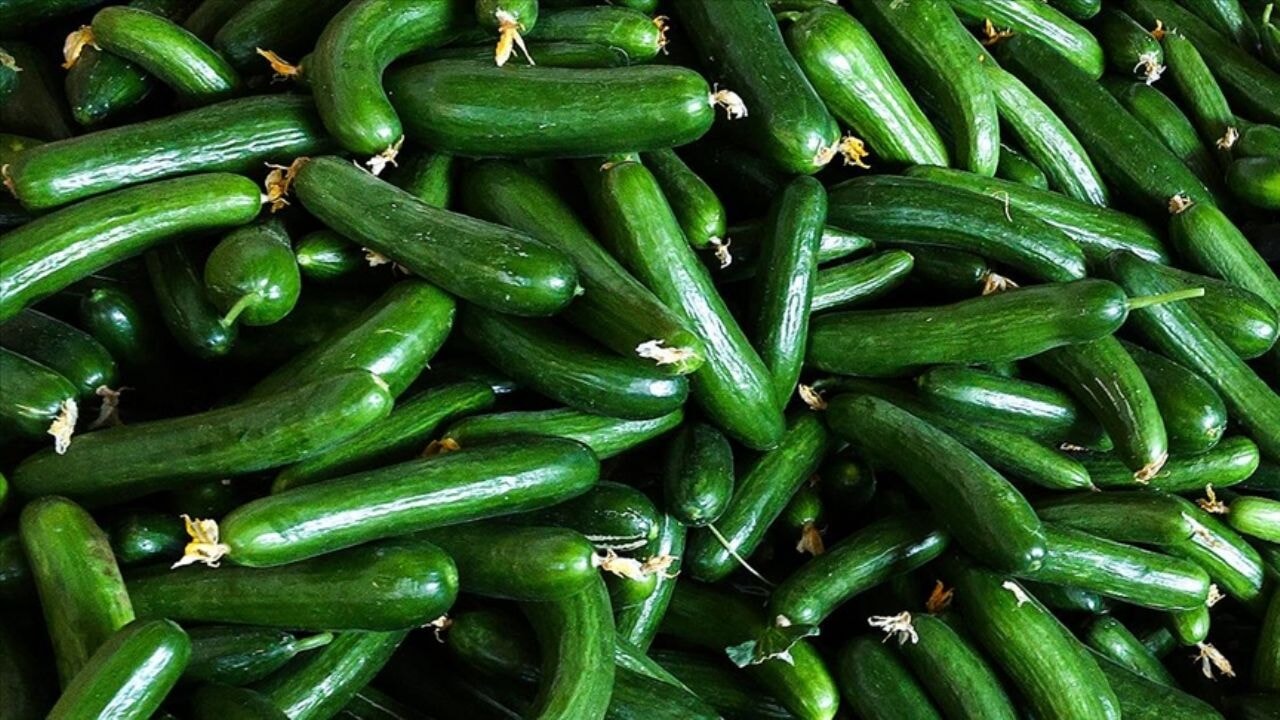 Salatalık yemeyin! Ünlü marketler de satıyor…