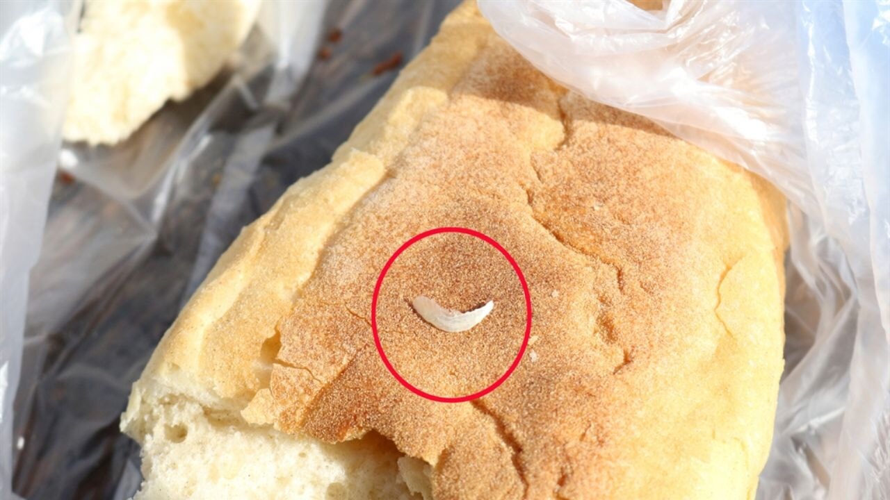 Ekmeğin içinden tırnak çıktı!