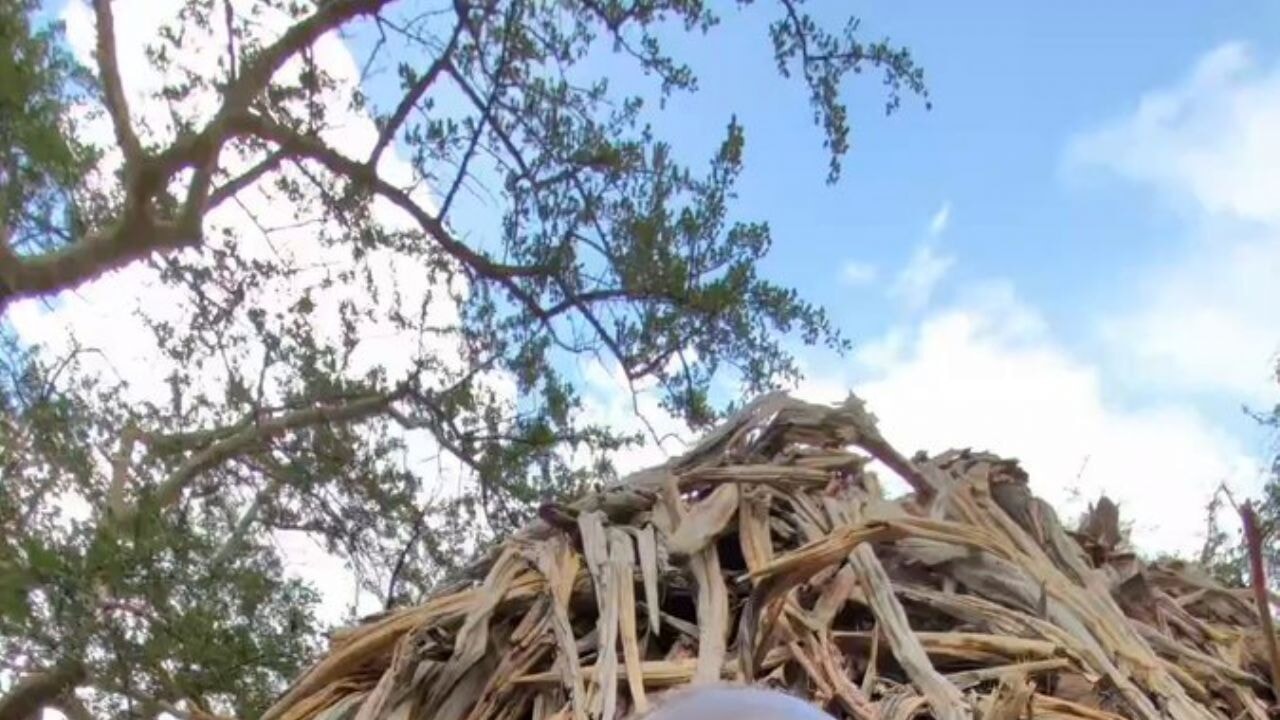Afrika'da ilk kez lolipop yiyen yerli aileden şaşkın anlar