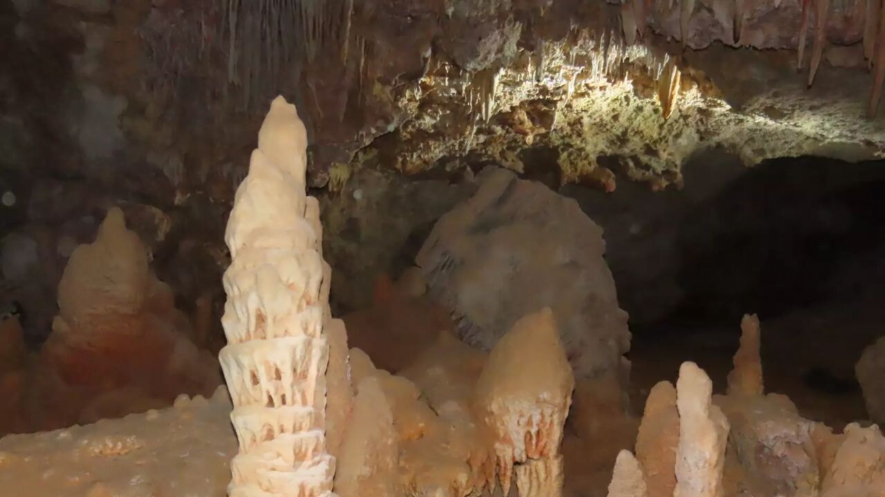 Yeni keşif: Arabistan bir zamanlar yeşildi