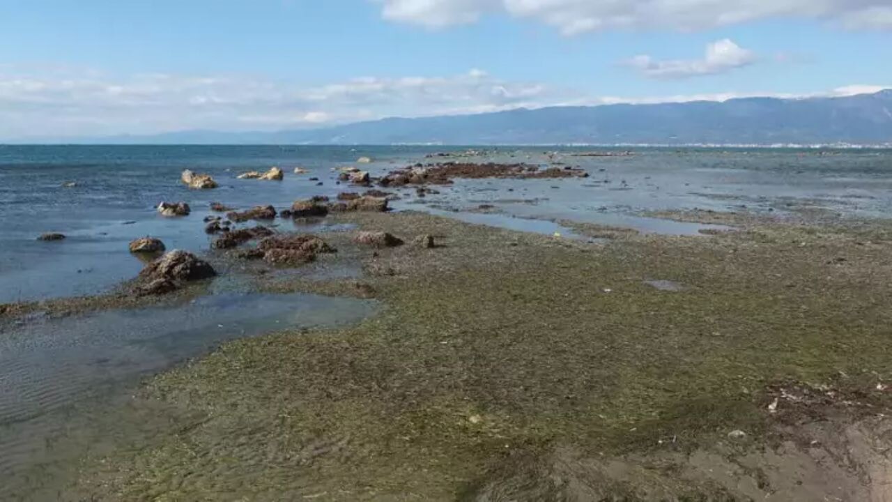 Balıkesir'de deniz çekildi