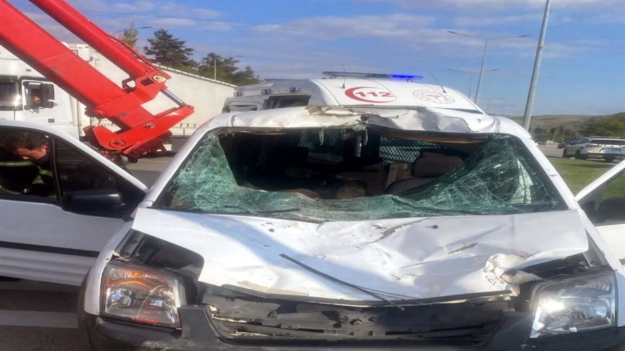 Yola fırlayan at polis aracına girdi: 2 polis yaralı