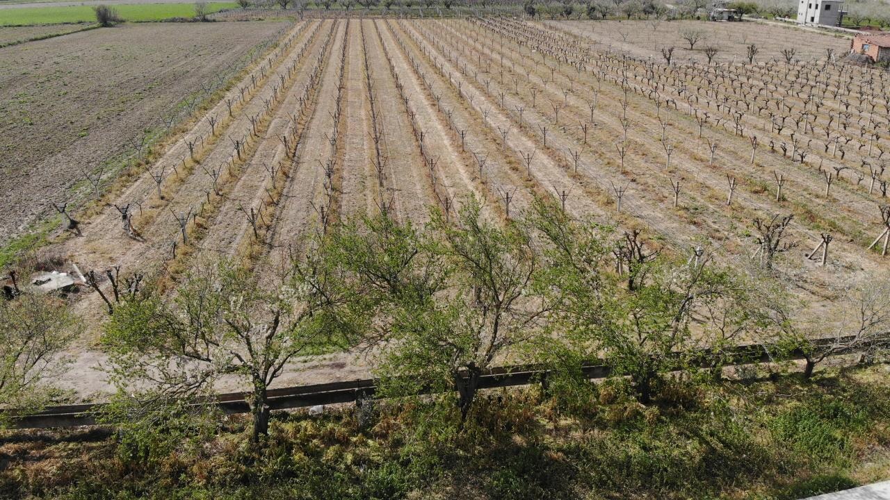 Bayraktar: Bunca emek bir gecede yok oldu