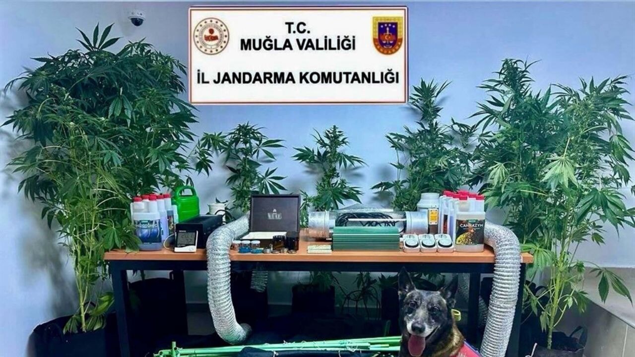 Öğretmen, uyuşturucu üreticisi ve satıcısı çıktı!