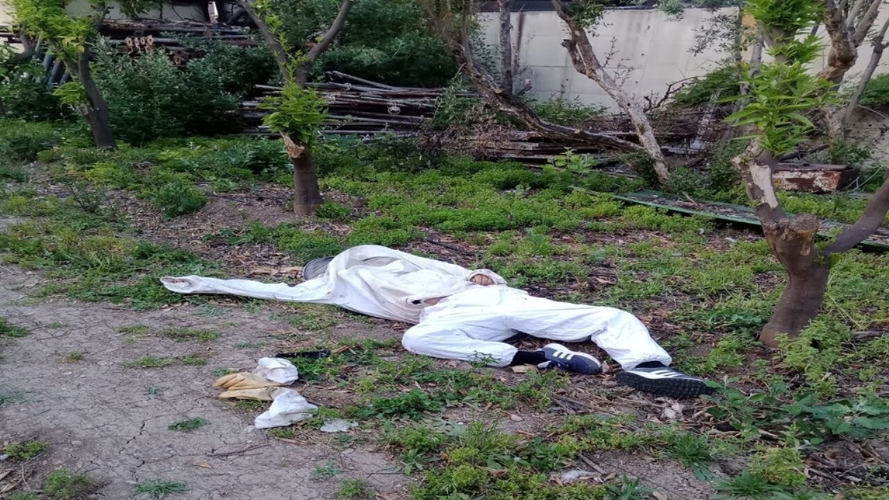 Parmağını arı sokan arıcı öldü