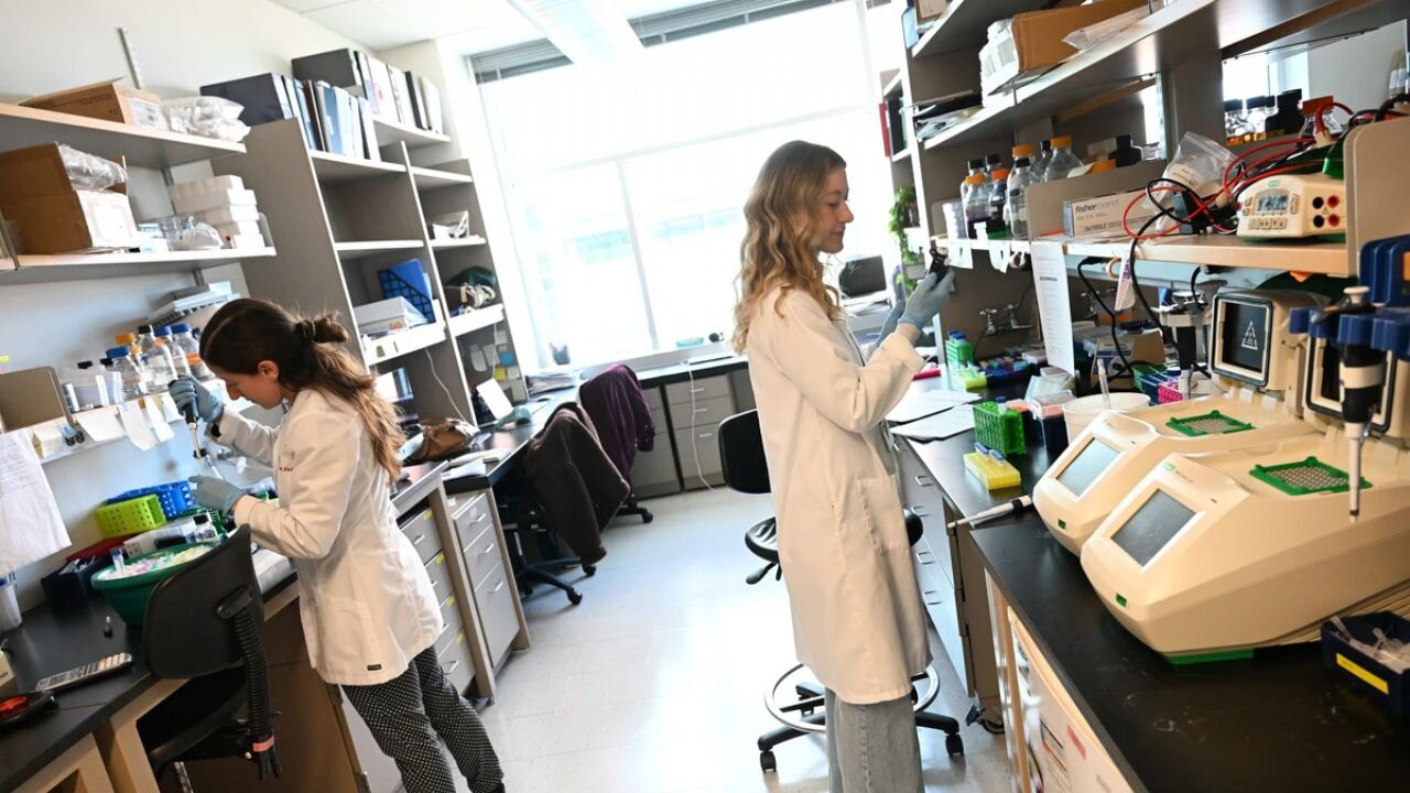 ABD'deki 'altın beyinler' kaçıyor!