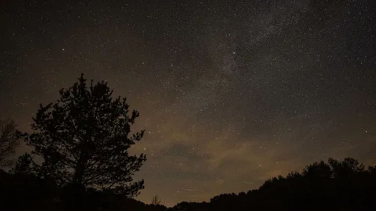 Pendik'teki Cinayet Şoku: Özbekistan Uyruklu Zanlı Tutuklandı