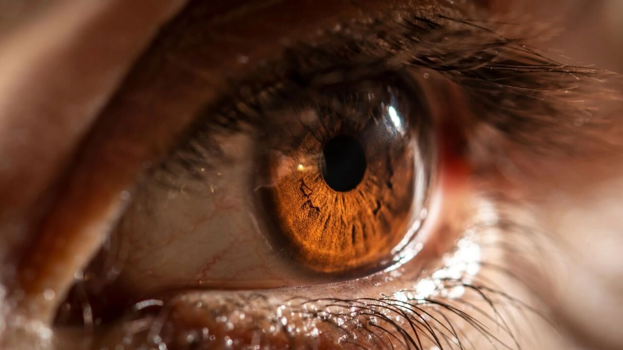 Görmeyi geri getiren ilaç geliştirildi