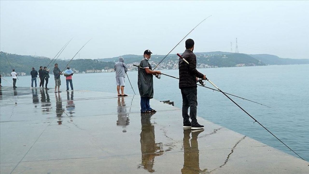 Olta iğnesi hastanelik etti