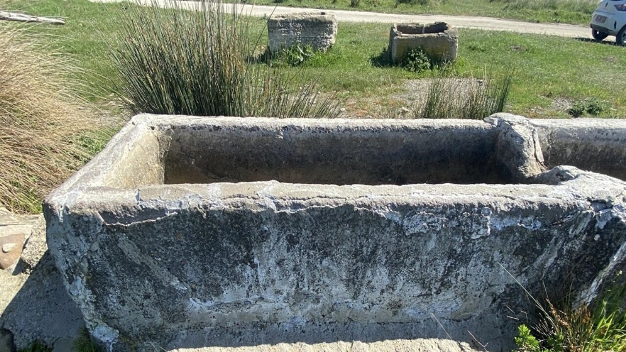 Çanakkale'de, İngiliz ve Fransızlar buldukları eserleri yağmalamış