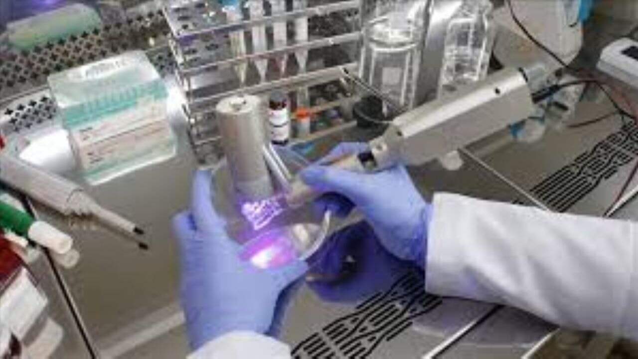 Hasarlı dokuların onarımına yönelik 'biyokalem' geliştirildi