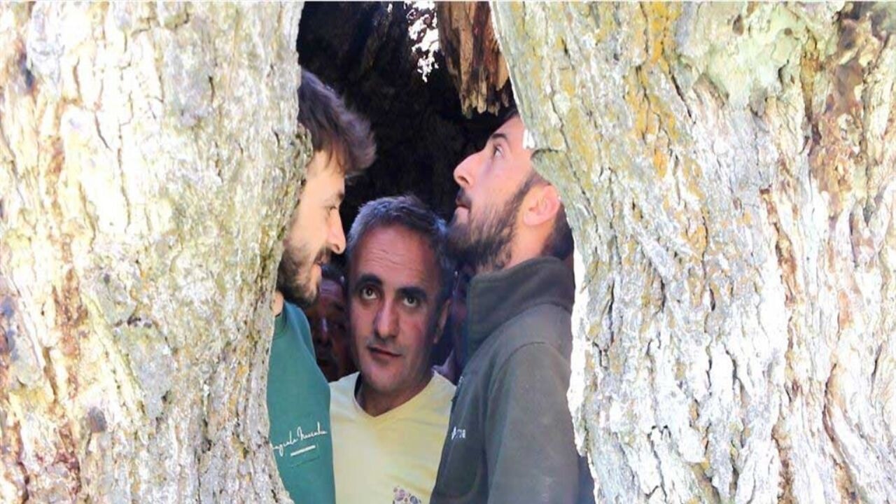 Hakkari'de asırlık ceviz ağacının kovuğuna 12 kişi sığdı