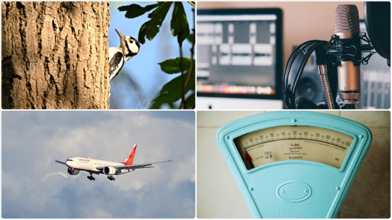 Kiloya göre indirim yapan restoran... Nisanın tuhaf olayları