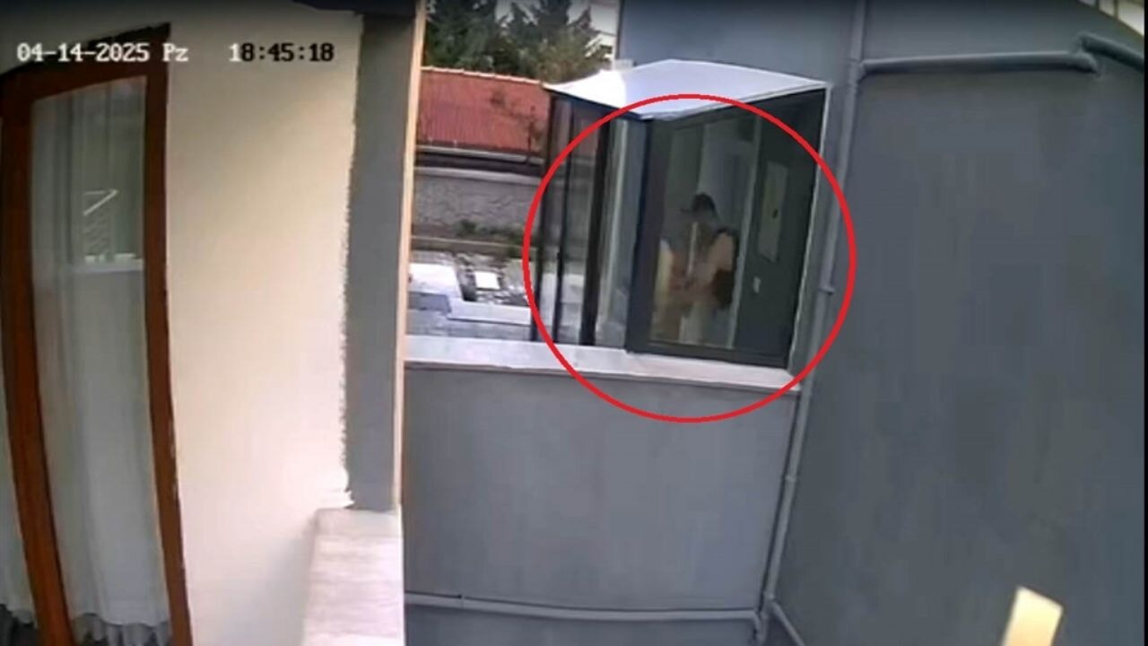 Doktorun öldürdüğü iddia edilen köpek sayısı 26'ya ulaştı; ifadesi ortaya çıktı