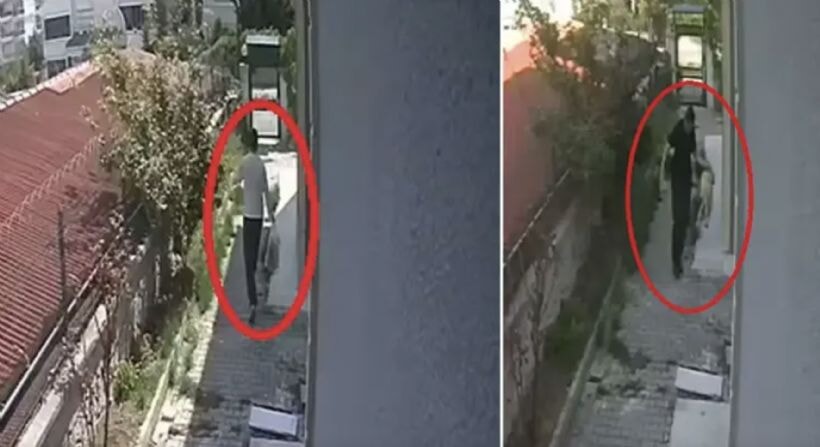 Muhammet Mustafa Duman olayı: Köpekleri evinde öldüren doktora ne oldu tutuklandı mı, ifade verdi mi?