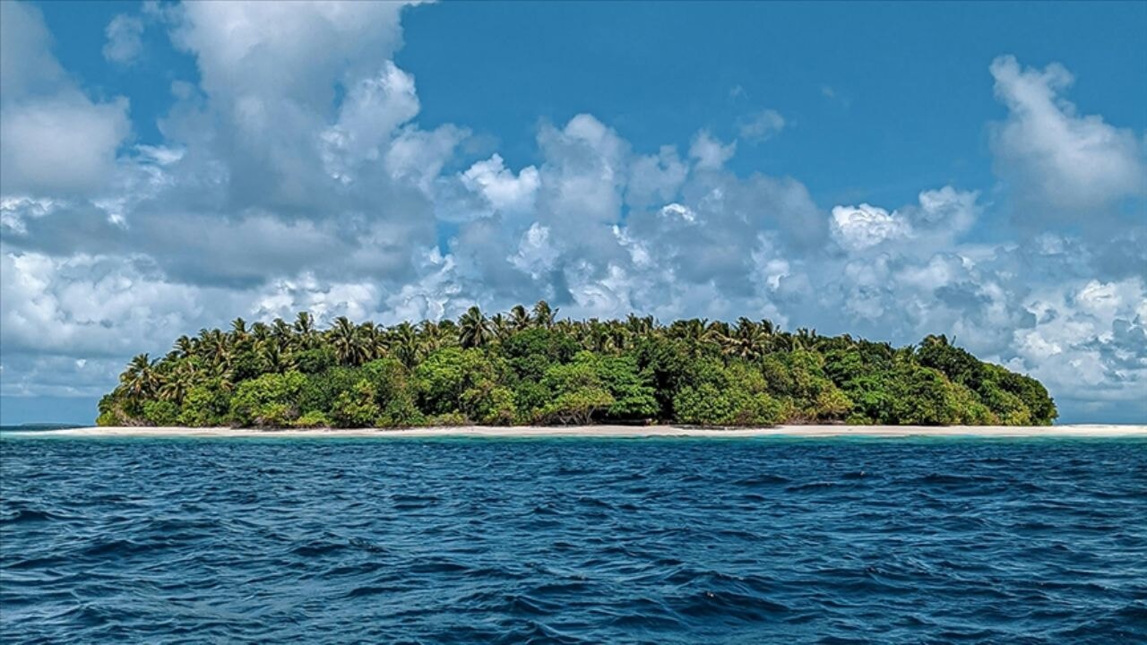 Ada meraklısı sömürgeci kafa: 'Etkileşim budalası' fenomen gözaltına alındı