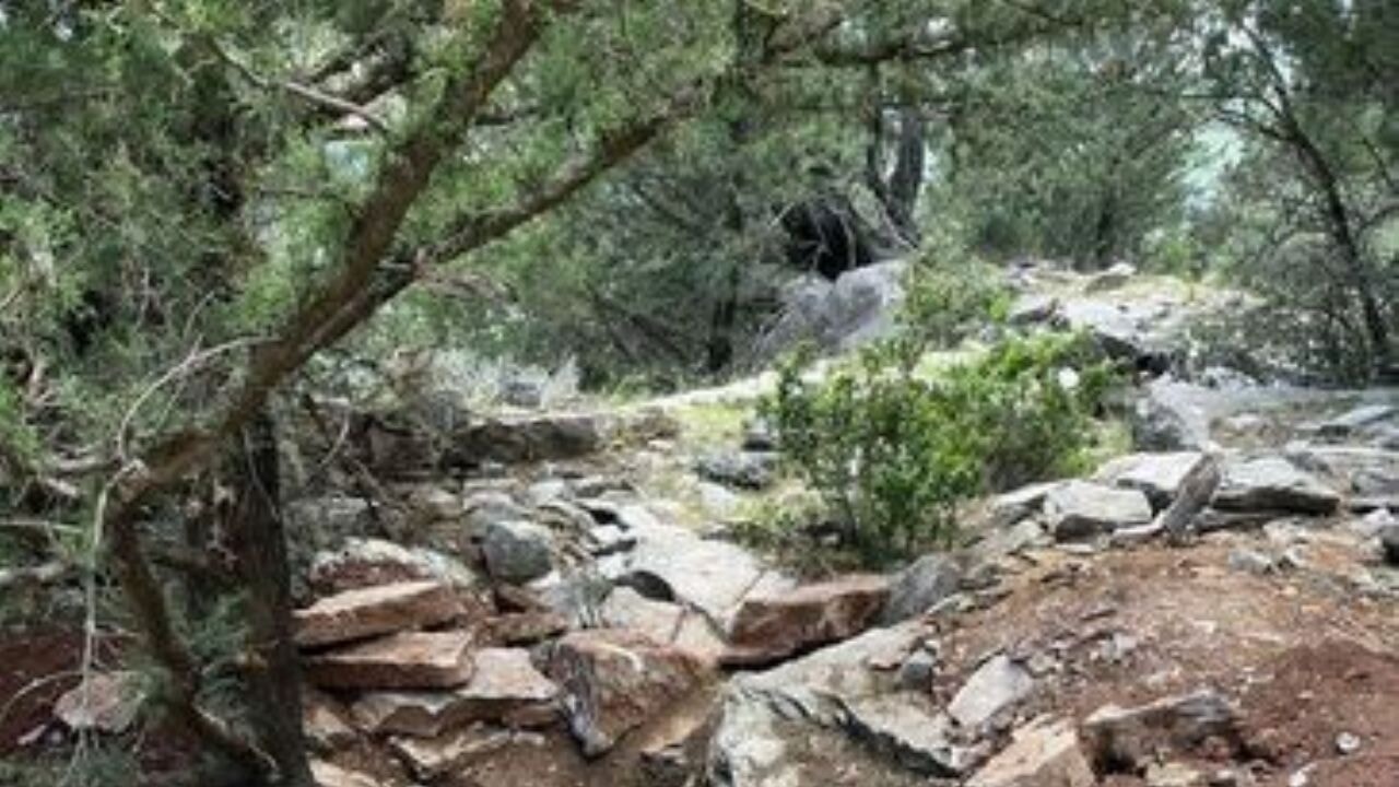 Kaçak kazı faaliyetlerine büyük darbe! Eski Vali ve emekli Albay yakalandı