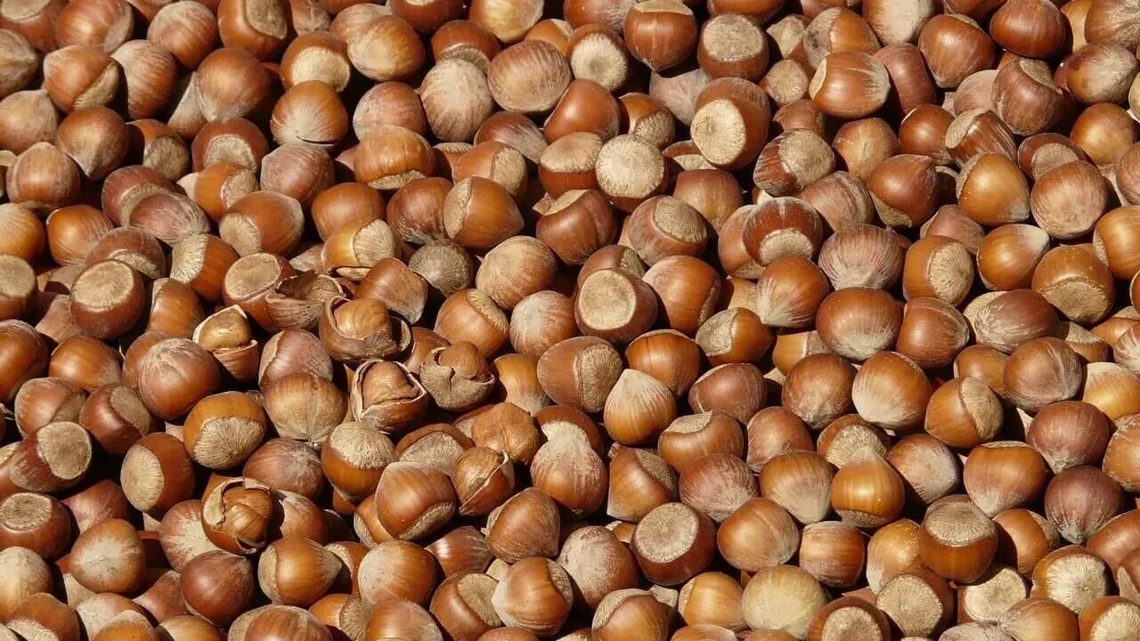 TMO fiyat açıkladı, serbest piyasa tavan yaptı