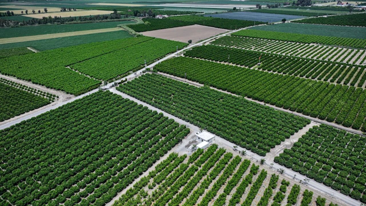 Genç çiftçinin hedefi üretimde dijitalleşme