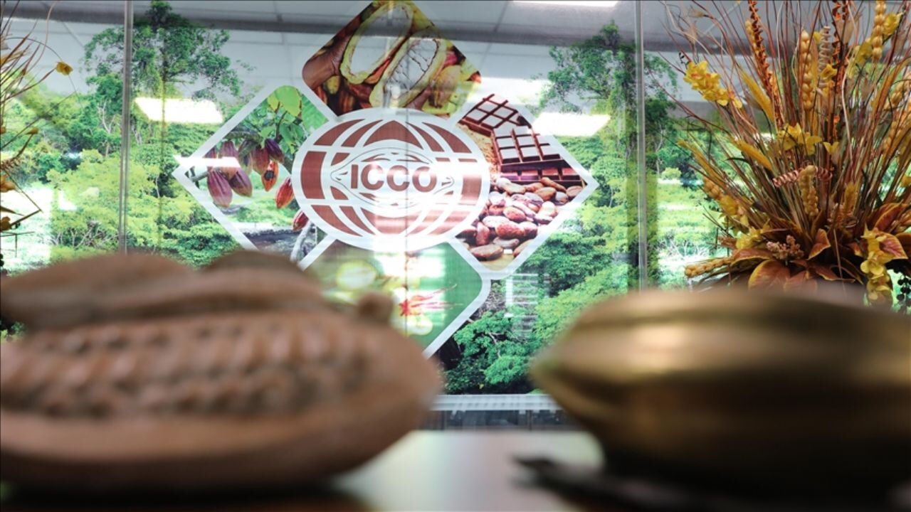 Dünyadaki kakaonun yaklaşık yarısını üreten ülke