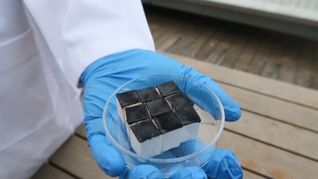 Havadan su üreten ağaçtan sünger geliştirildi