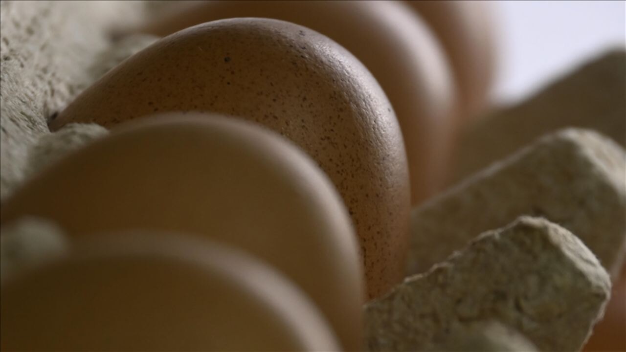 Yumurta ihracatında flaş muafiyet! TSK ve yardım sevkiyatları kesintiden çıkarıldı