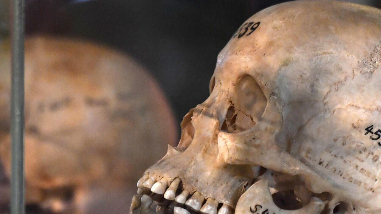 Almanların Namibya soykırımı: Kafatasları ve kemiklerini kaçırdılar