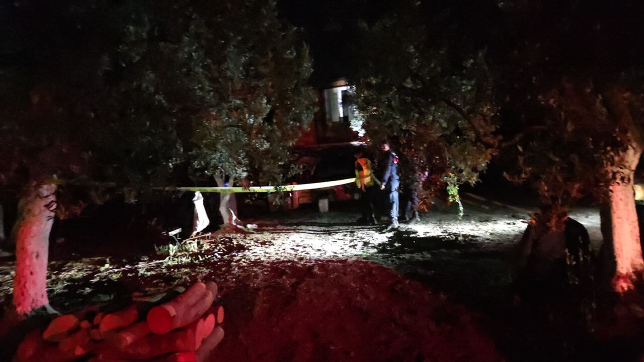 Çiftlik evinde baltalı infaz!  Bursa'da cinayet alarmı