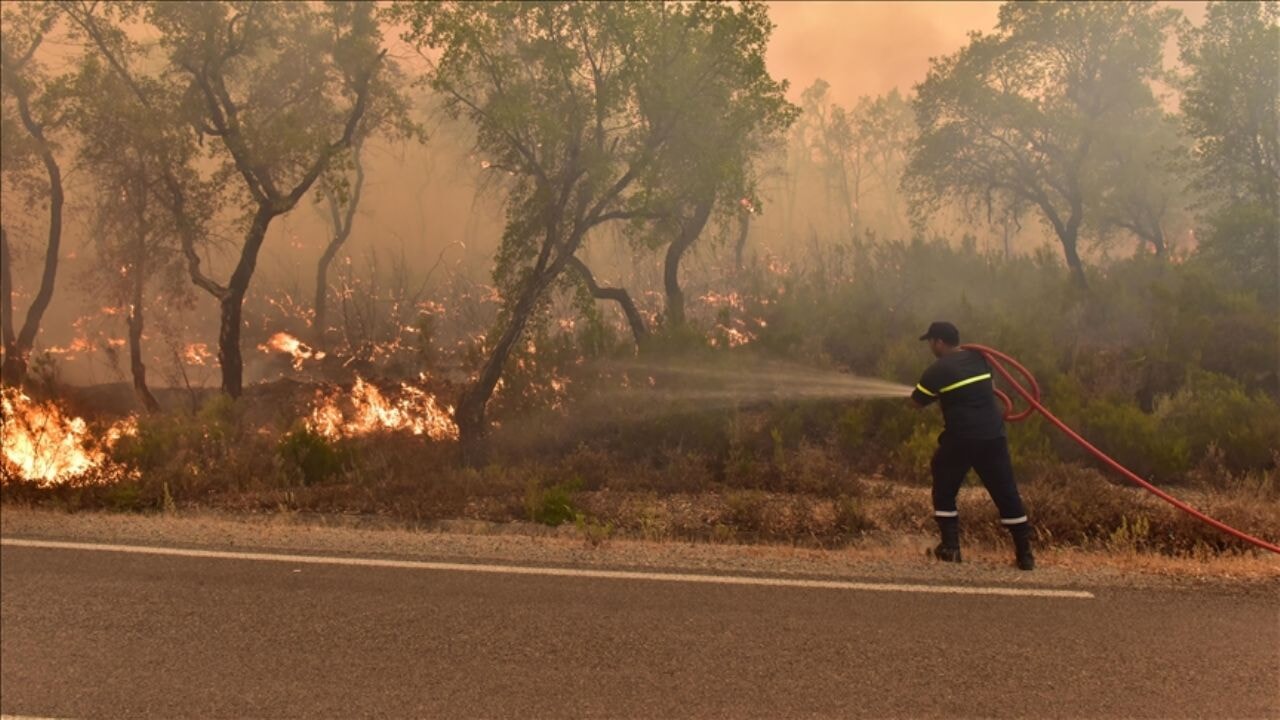 Fas'ta orman yangınları 5 gündür söndürülemiyor