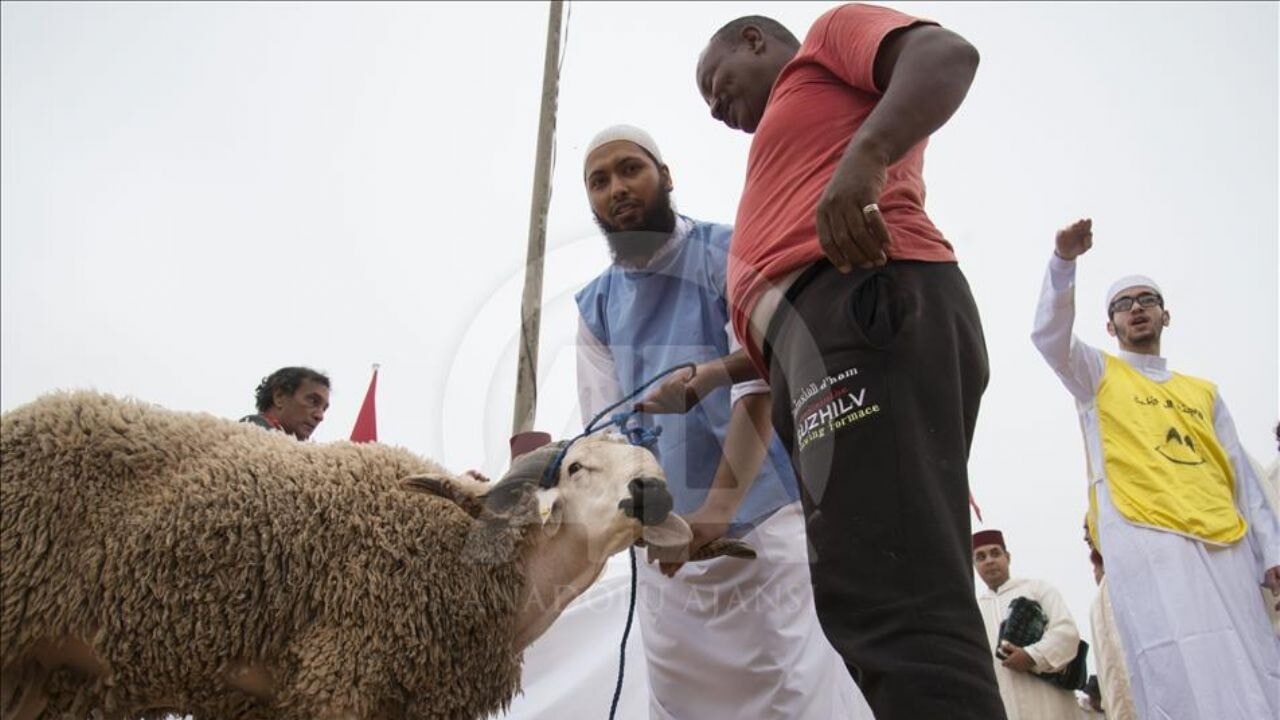 Fas'ta kurban yasağı! Hayvan pazarları kapatıldı, satışlar durduruldu