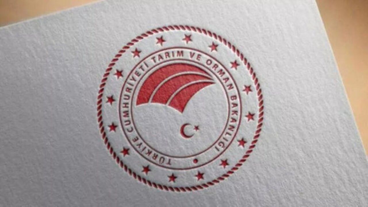 Tarım ve Orman Bakanlığı 8.500 personel alınacak:Başvuru şartları neler?