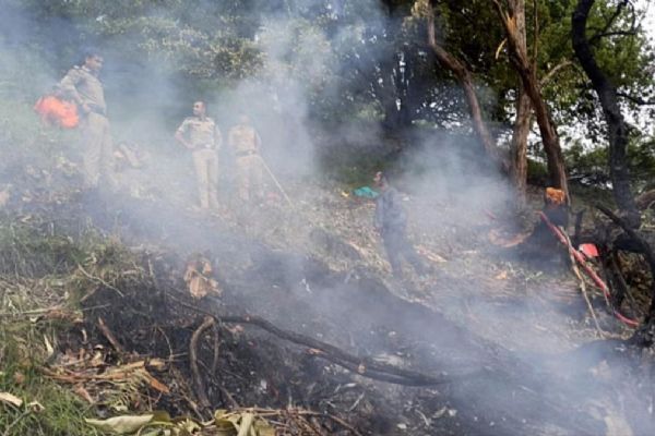 Önce uçak şimdi helikopter! Hindistan'da katliam gibi bir kaza daha