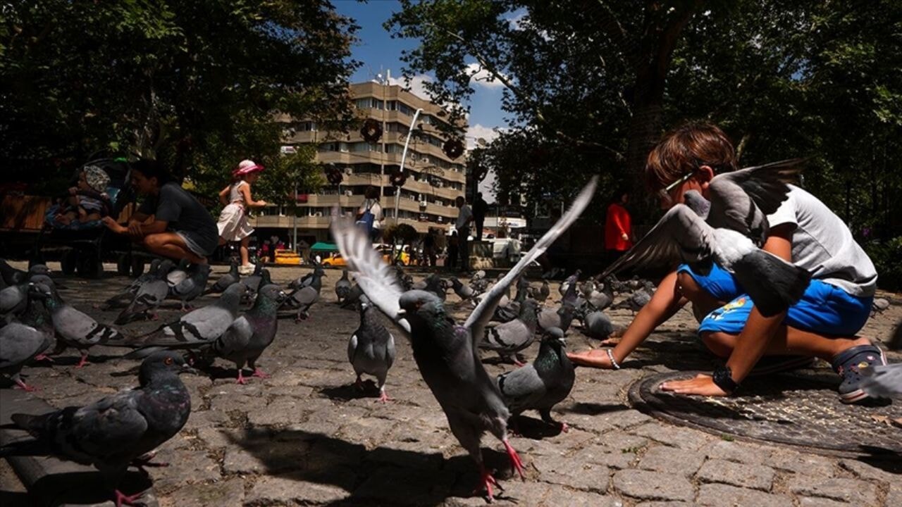 Ankara'da aşırı sıcak alarmı: Açık alanda bulunmayın