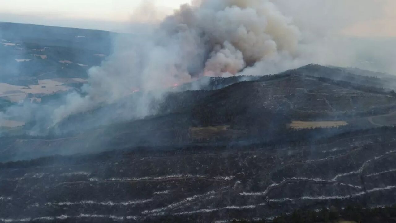 Türkiye'de 27-28 Haziran orman yangınlarının nedeni belli oldu