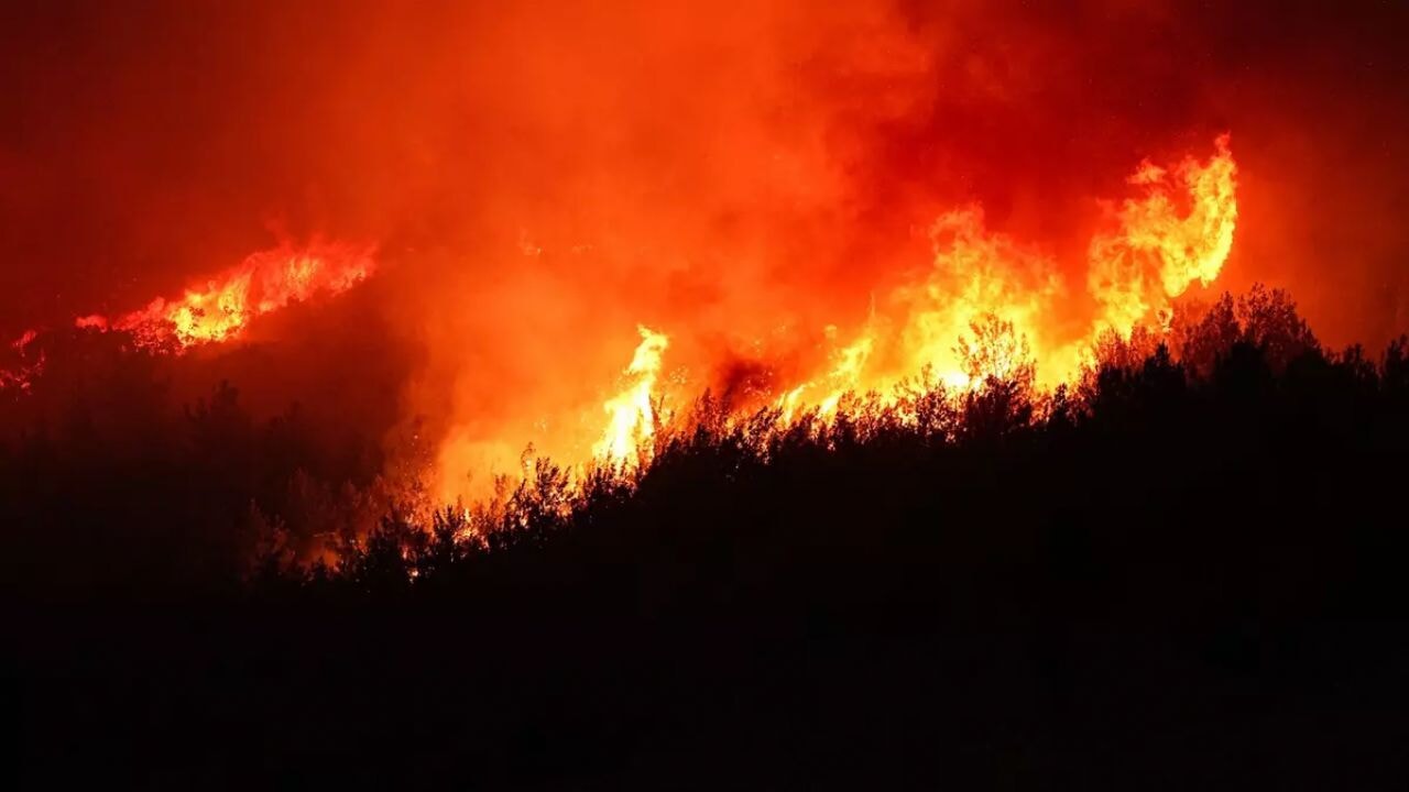 İzmir'de orman yangınları büyüyor: Kundakçı benzinle başlatmış!