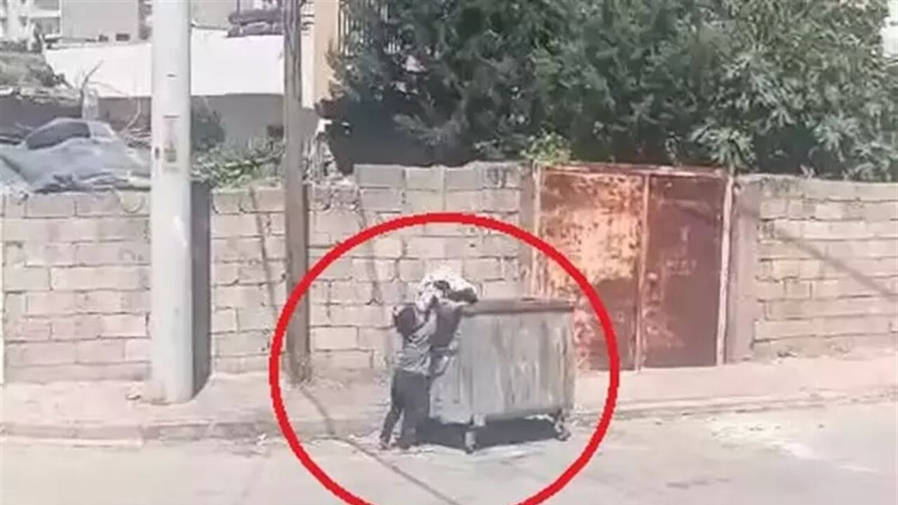 Yere atılan eski kilimi çöp konteynerine bırakan kız çocuğuna ödül