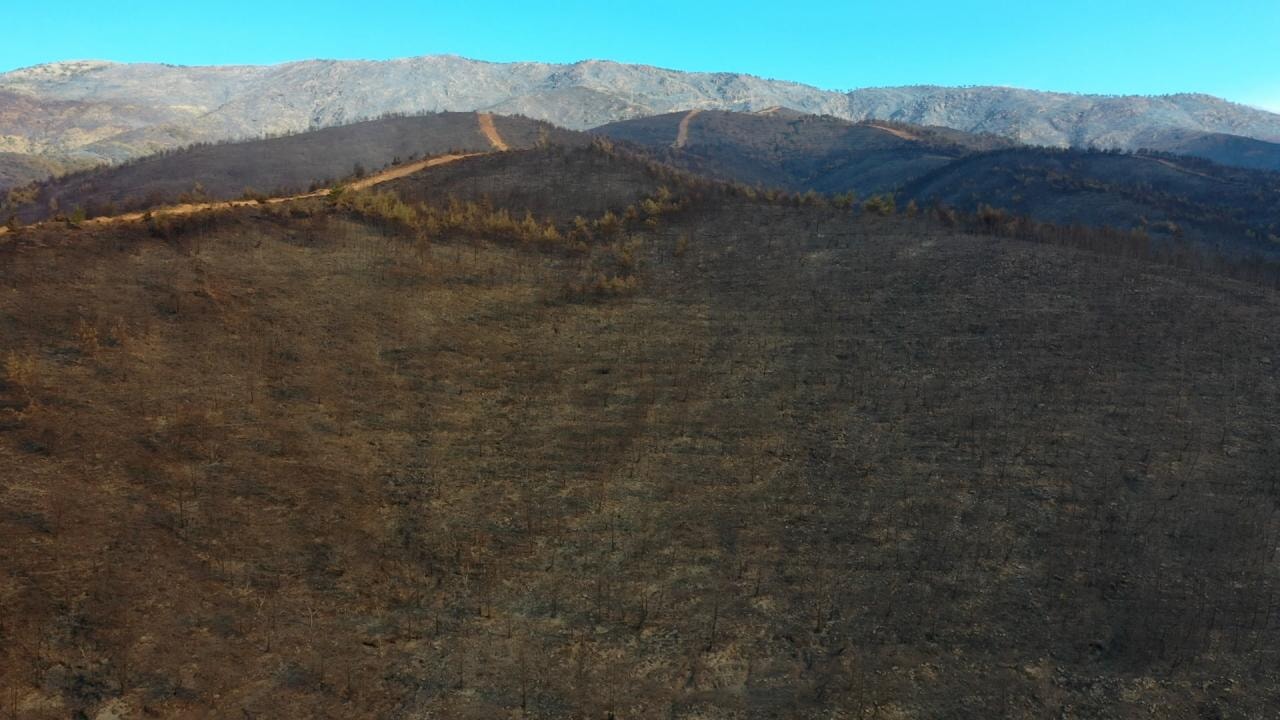 Hatay'daki orman yangınında zarar gören alanlar dronla görüntülendi