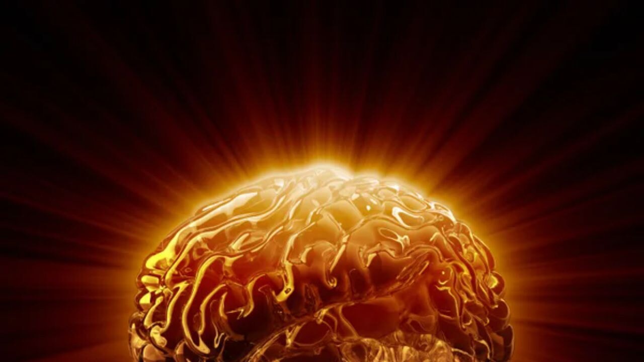 Beyin de yağ yakıyormuş...